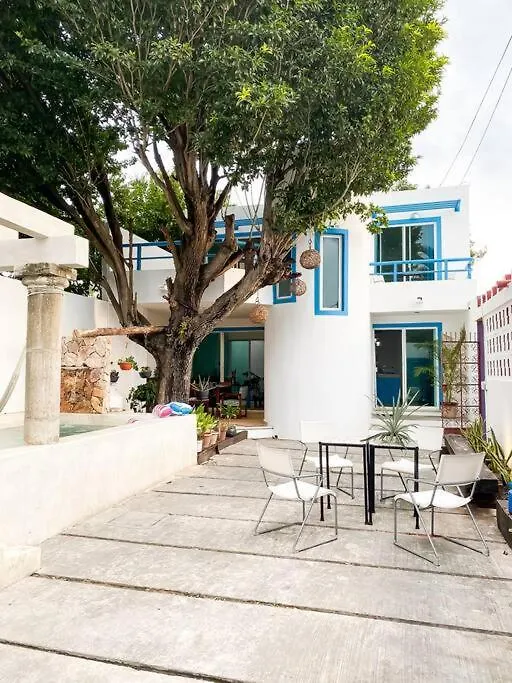 Casa Minerva מרידה